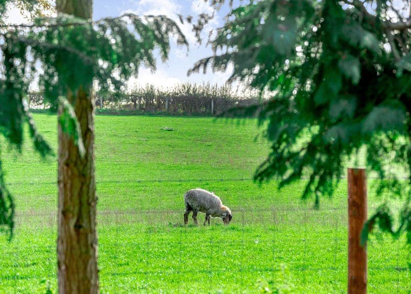Cedar Retreats, West Tanfield