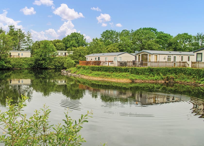 The park setting | Woodland Vale Holiday Park, Ludchurch, Nr Saundersfoot