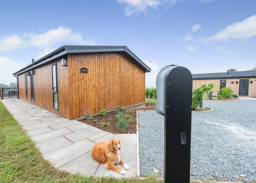 Gwennol - Wynd Hill Hideaway, Tenby