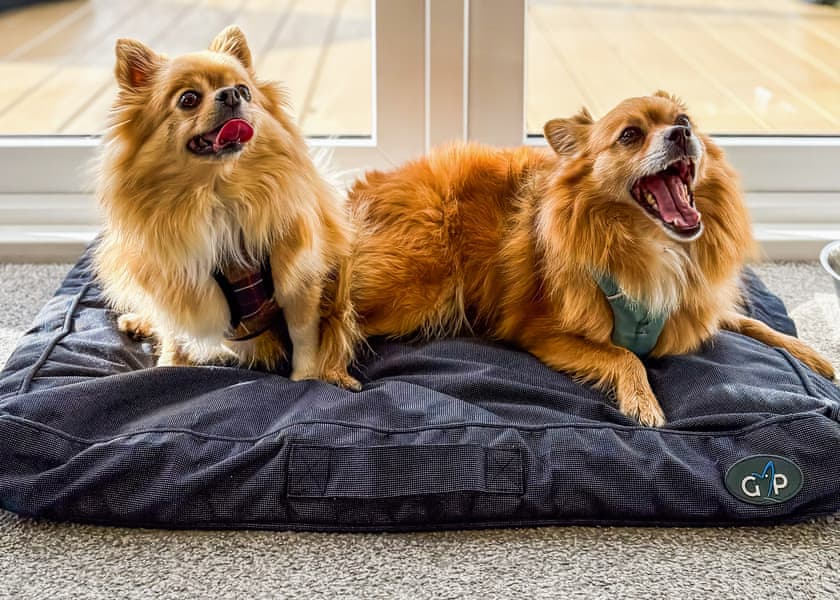 Yorkshire Spa Retreat, York