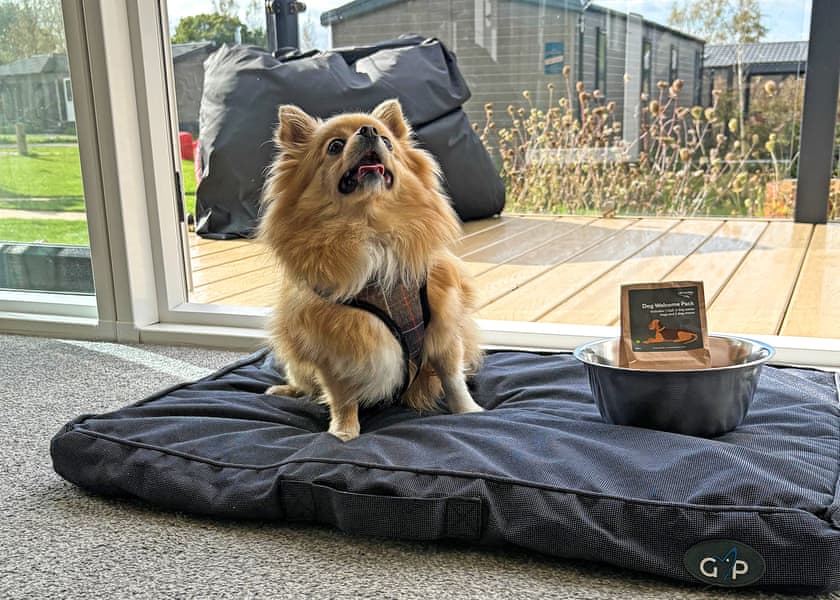 The Fairfax (Pet) - Yorkshire Spa Retreat, York