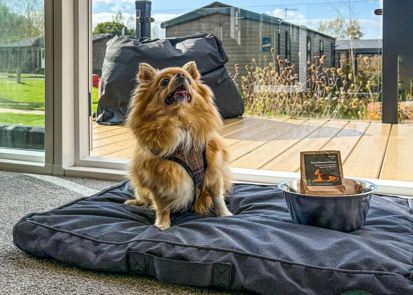 The FairfaxHot Tub (Pet) - Yorkshire Spa Retreat, York