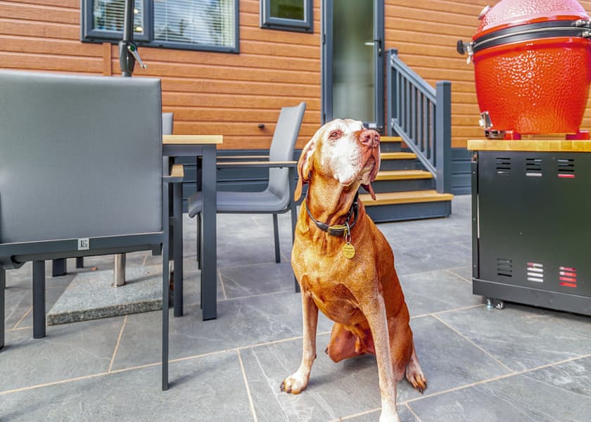 The Hovingham (Pet) - Yorkshire Spa Retreat, York