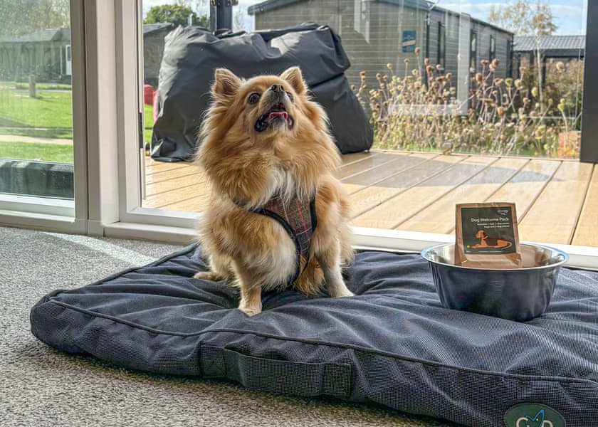 The Blacksmiths (Pet) - Yorkshire Spa Retreat, York