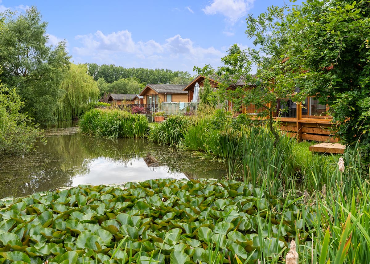 Vale of York Country Park - Holiday Lodge in Yorkshire - Image 4