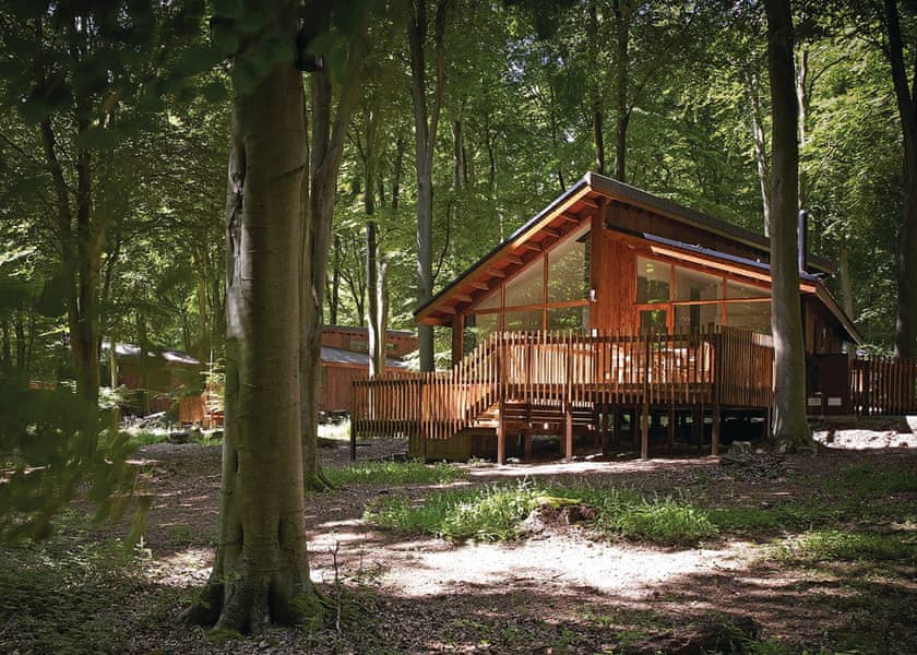 Blackwood Forest Lodges In Micheldever Lodges Book Online