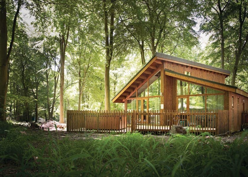 Golden Oak Hideaway Blackwood Forest Lodges Lodges Book