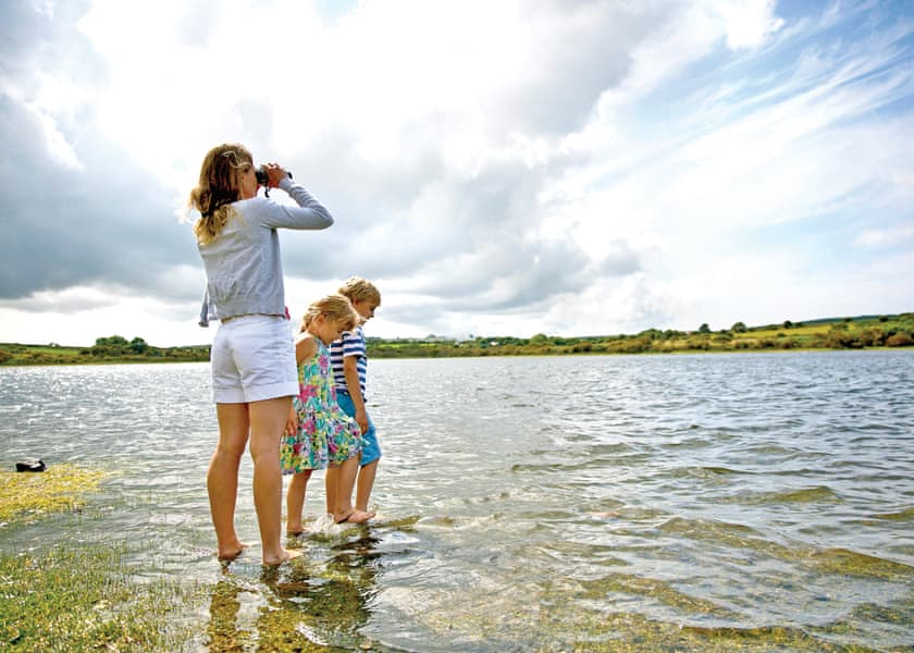 Caddy’s Corner Lodges in Carnmenellis, Nr Falmouth Lodges Book