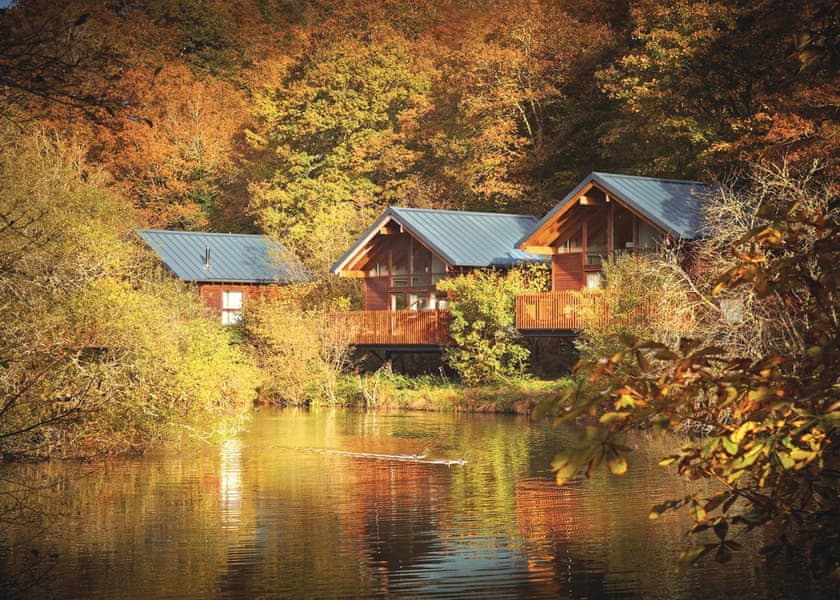 Deerpark Forest in Liskeard Lodges Book Online Hoseasons