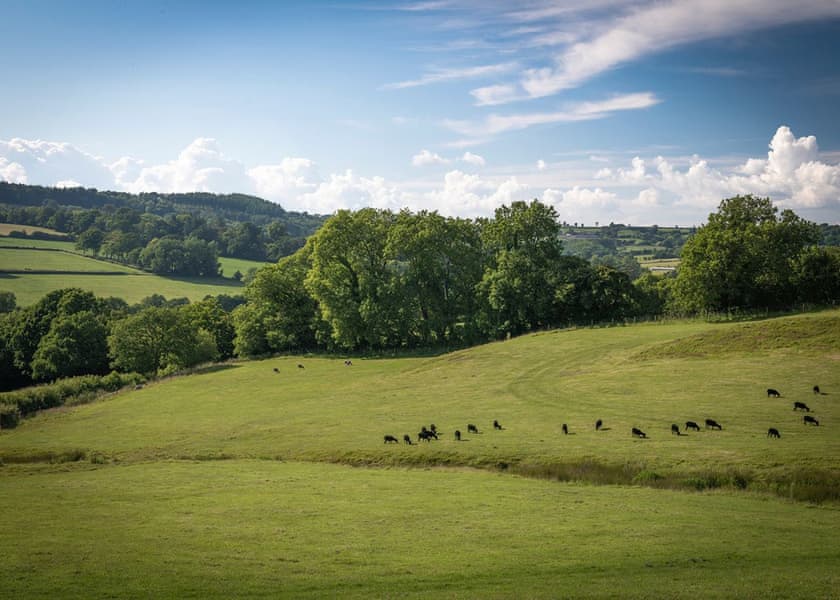 Otter Falls in Upottery, Honiton Lodges Book Online Hoseasons