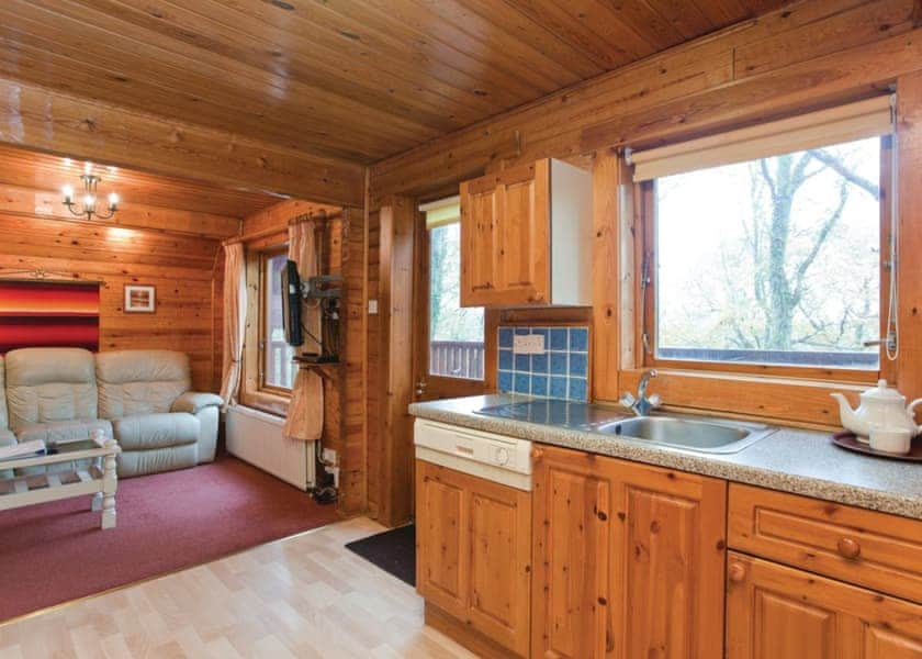 Traditional Woodland Lodge - Finlake Holiday Resort - Holiday Parks ...