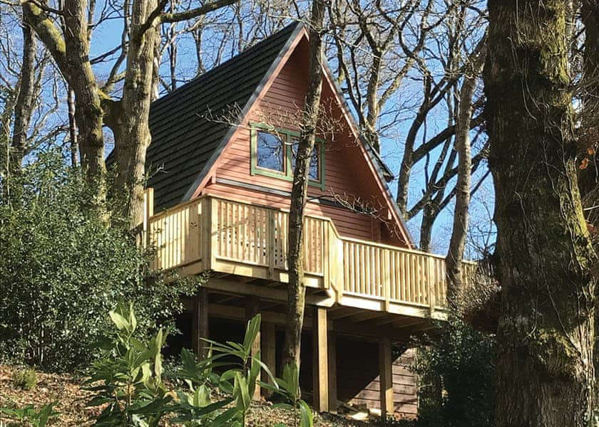 Luxury Woodland Lodge 2 Hot Tub - Finlake Holiday Resort - Holiday ...