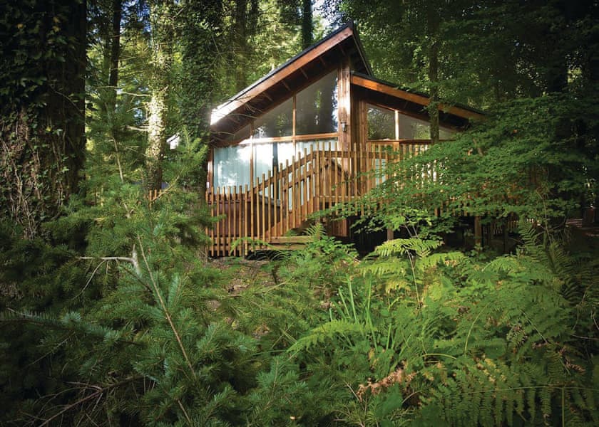 Forest Of Dean Lodges In Coleford Lodges Book Online Hoseasons