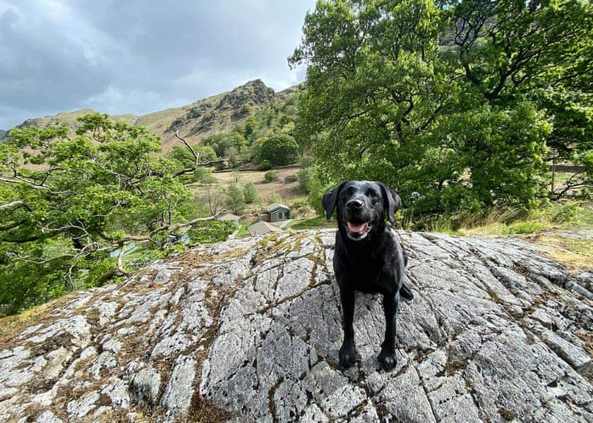 Hartsop Fold Lodges in Patterdale, Ullswater – Holiday Parks - Book ...