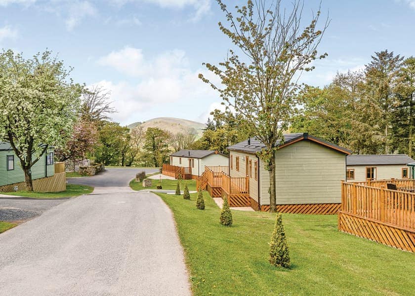 Dog friendly lodges and log cabins in the Lake District