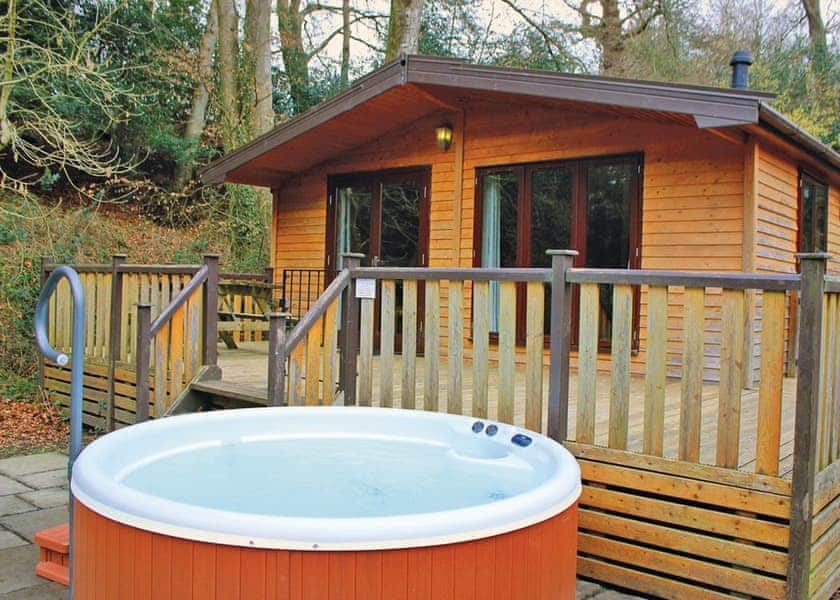 Comfort Lodge 4 Sandy Balls Holiday Village Holiday Parks Book 