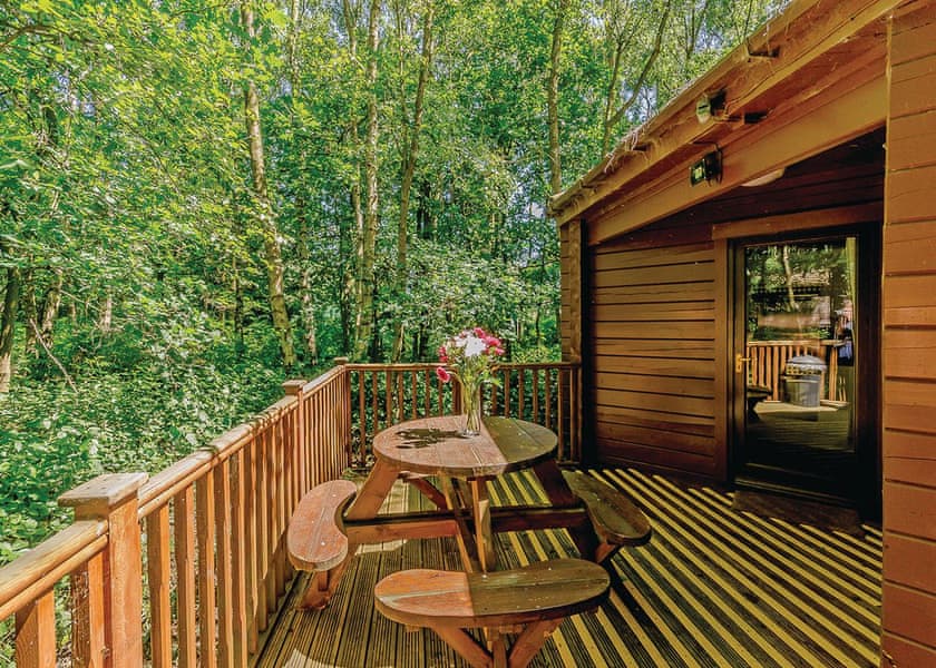 Friar Tuck Sherwood Castle Holiday Forest Holiday Parks Book