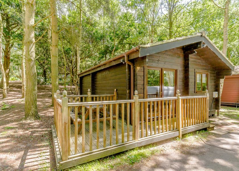 Sherwood Castle Holiday Forest In Sherwood Forest Rufford