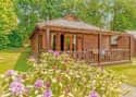 Dogs stay free in selected lodges