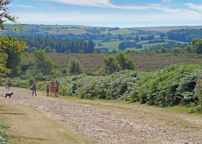 Webbers Country Park in Woodbury, Exeter, South Devon | Hoseasons