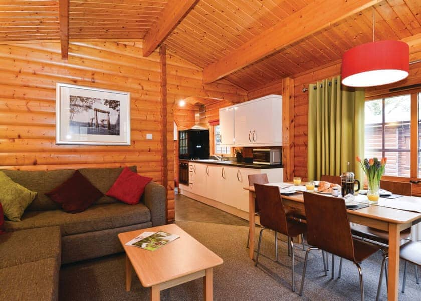 Log Cabin Premier Whitemead Forest Park Lodges Book Online